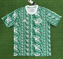 24/25 Nigeria Training Jersey Fans Version