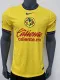 24/25 America Home Jersey Player Version 1:1 Quality
