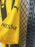 24/25 Fenerbahçe S.K. Home Jersey Fan Version 1:1 Quality