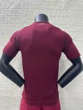 24/25 Roma Home Jersey With Sponsors Player Version 1:1 Quality