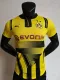 24/25 Dortmund Special Jersey Player Version Thai Quality