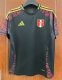 24/25 Peru Away Jersey Fans Version 1:1 Quality