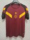 24/25 Roma Special Jersey 1:1 Thai Quality