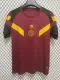 24/25 Roma Special Jersey 1:1 Thai Quality