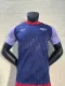 24/25 Arsenal Special Jersey Player Version 1:1 Quality