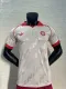 24/25 Bayern Munich Special Jersey Player Version 1:1 Quality