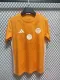 24/25 Algeria Orange Jersey Fans Version Thai Quality baiyue