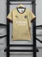 24/25 AC Milan Special Jersey Fans Version  1:1 Quality