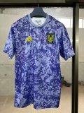 25/26 Tiger Training Soccer Jersey Thai Quality