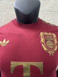 24/25 Bayern Munich Special Jersey Player Version 1:1 Quality