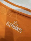 24/25 Ivory Coast Home Jersey Player Version