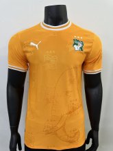 24/25 Ivory Coast Home Jersey Player Version