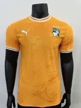 24/25 Ivory Coast Home Jersey Player Version