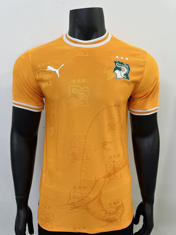 24/25 Ivory Coast Home Jersey Player Version