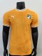 24/25 Ivory Coast Home Jersey Player Version