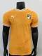 24/25 Ivory Coast Home Jersey Player Version