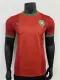 24/25 Morocco Home Jersey Player Version Thai Quality 彪马面料