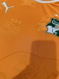 24/25 Ivory Coast Home Jersey Player Version