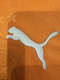 24/25 Ivory Coast Home Jersey Player Version