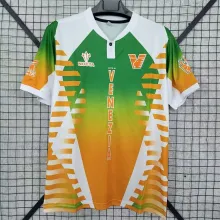 24/25 Venezia FC Third Fans Soccer Jersey
