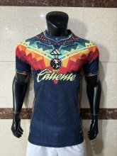 25/26 America Special Jersey Player Version 1:1 Quality