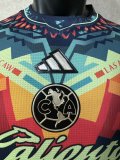 25/26 America Special Jersey Player Version 1:1 Quality