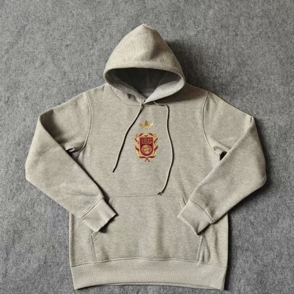 24/25 Bayern Munich Hoody Grey Color Thai Quality