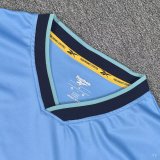 25/26 Panama Away Jersey Fans Version 1:1 Quality