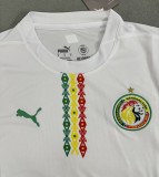 24/25 Senegal Home Jersey Fans Version Thai Quality bomandi