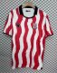 25/26 Stoke City Home Fans Soccer Jersey