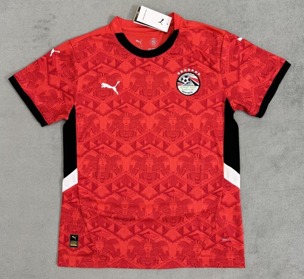 24/25 Egypt Home Jersey Fans Version Thai Quality