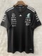 2025 Mercedes F1 Team Round Collar POLO T-Shirt