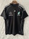 2025 Mercedes F1 Team Round Collar POLO T-Shirt