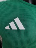 2025 Algeria Green Jersey Player Version Thai Quality