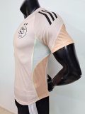 2025 Algeria Jersey Player Version Thai Quality