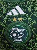 2025 Algeria Green Jersey Player Version Thai Quality