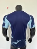 25/26 Ajax Away Player Version Soccer Jersey 1:1 Quality
