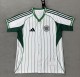 2025 Celtic Baseball Jersey Fan Version