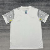 2025 Brazil Traning Soccer Jersey Thai Quality