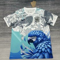 2025 Brazil Traning Soccer Jersey Thai Quality