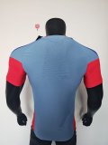 2026 Japan Away Jersey Player Version 1:1 Quaility