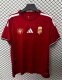 25/26 Hungary Home Soccer Jersey Fans Version