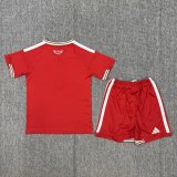 2026 Welsh Home World Cup Kids Jersey
