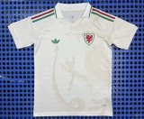 2026 Welsh Away Soccer Jersey Fans Version  1:1 Quality
