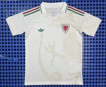 2026 Welsh Away Soccer Jersey Fans Version  1:1 Quality