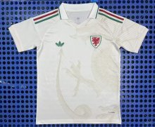 2026 Welsh Away Soccer Jersey Fans Version  1:1 Quality