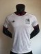 25/26 Mexico Away Jersey Player Version 1:1 Quality