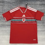2026 Welsh Home World Cup Soccer Jersey Fans Version  1:1 Quality