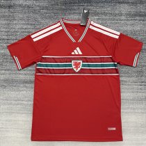 2026 Welsh Home World Cup Soccer Jersey Fans Version  1:1 Quality