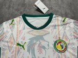 26/27 Senegal Home Jersey Fans Version Thai Quality bomandi